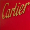 明星助力卡地亞 Cartier 2011全新春夏系列眼鏡預(yù)覽