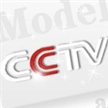 CCTV模特電視大賽章程