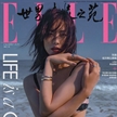 劉雯登《ELLE世界時(shí)裝之苑》十二月刊封面